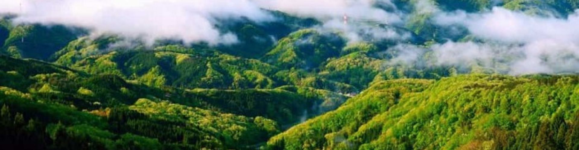 Mussoorie tour Package