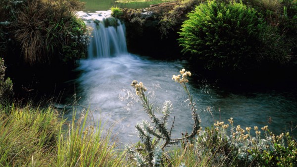 Gangtok Tour Package