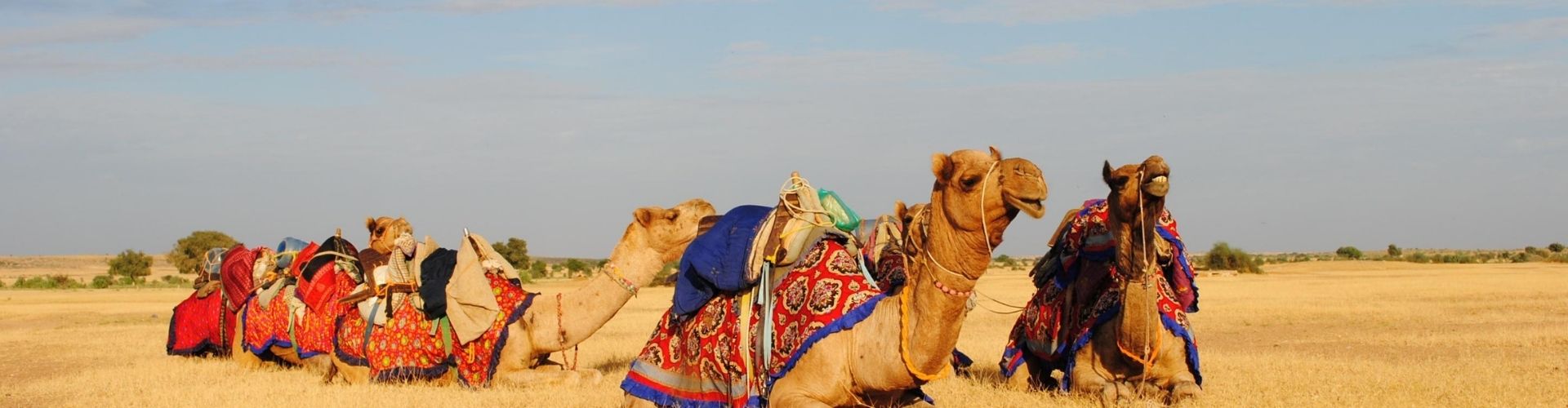 Soulful Dwarka Gujarat Tour Package