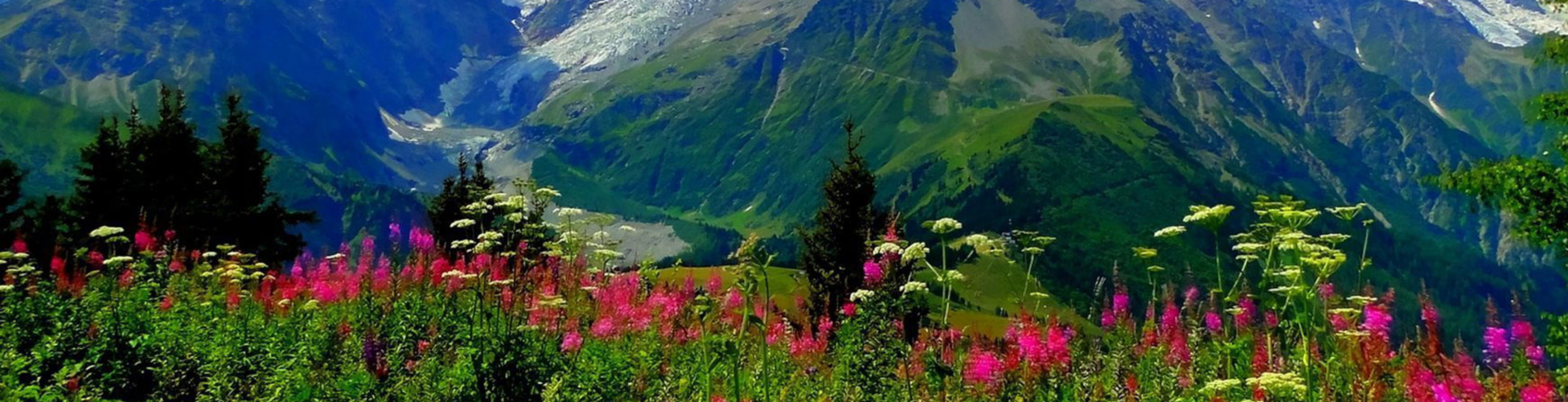 Fascinating Uttarakhand Honeymoon Package