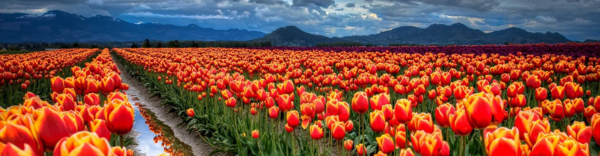 Amazing Kashmir Tour Package