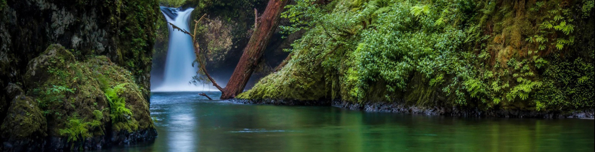 Special Nainital Corbett Park Tour Package from Delhi