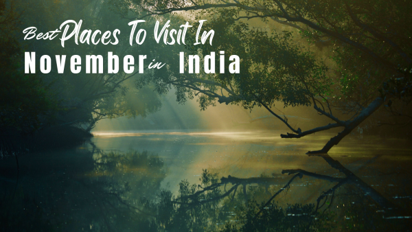 Best Places to Visit in November in India for Tour