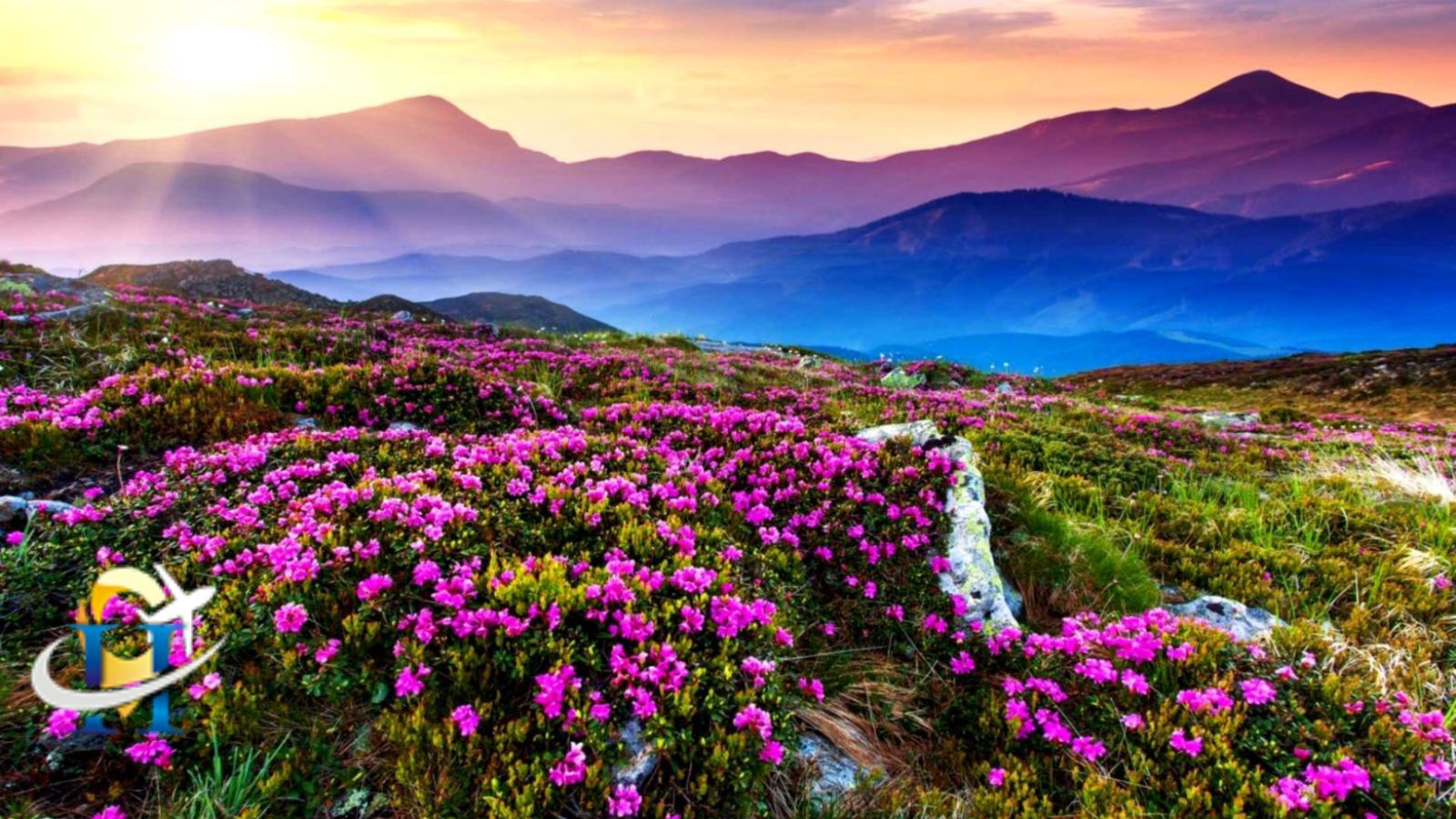 In Uttarkhand landslides Valley of Flowers is Closed for visitors due