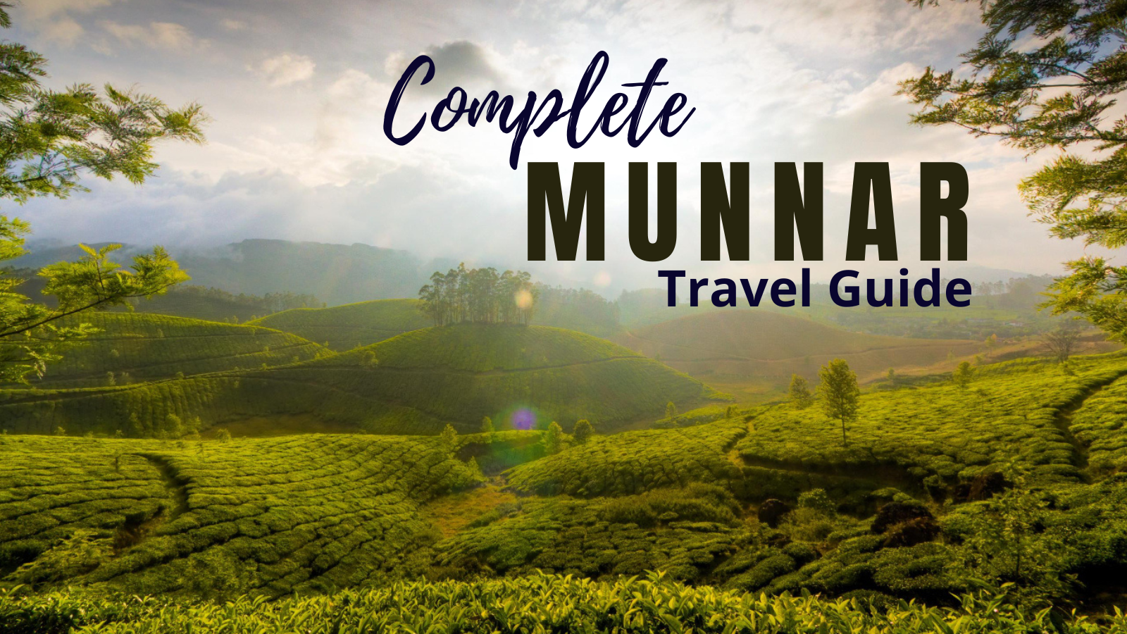 Munnar Tour and Travel Guide