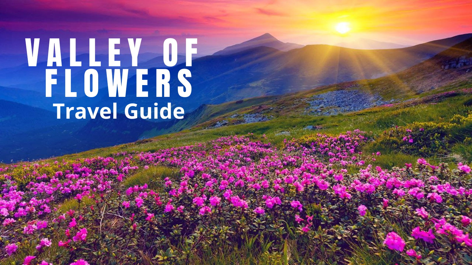 Valley of Flowers National Park