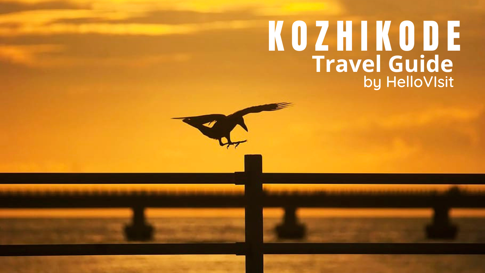 Kozhikode Tour and Travel Guide
