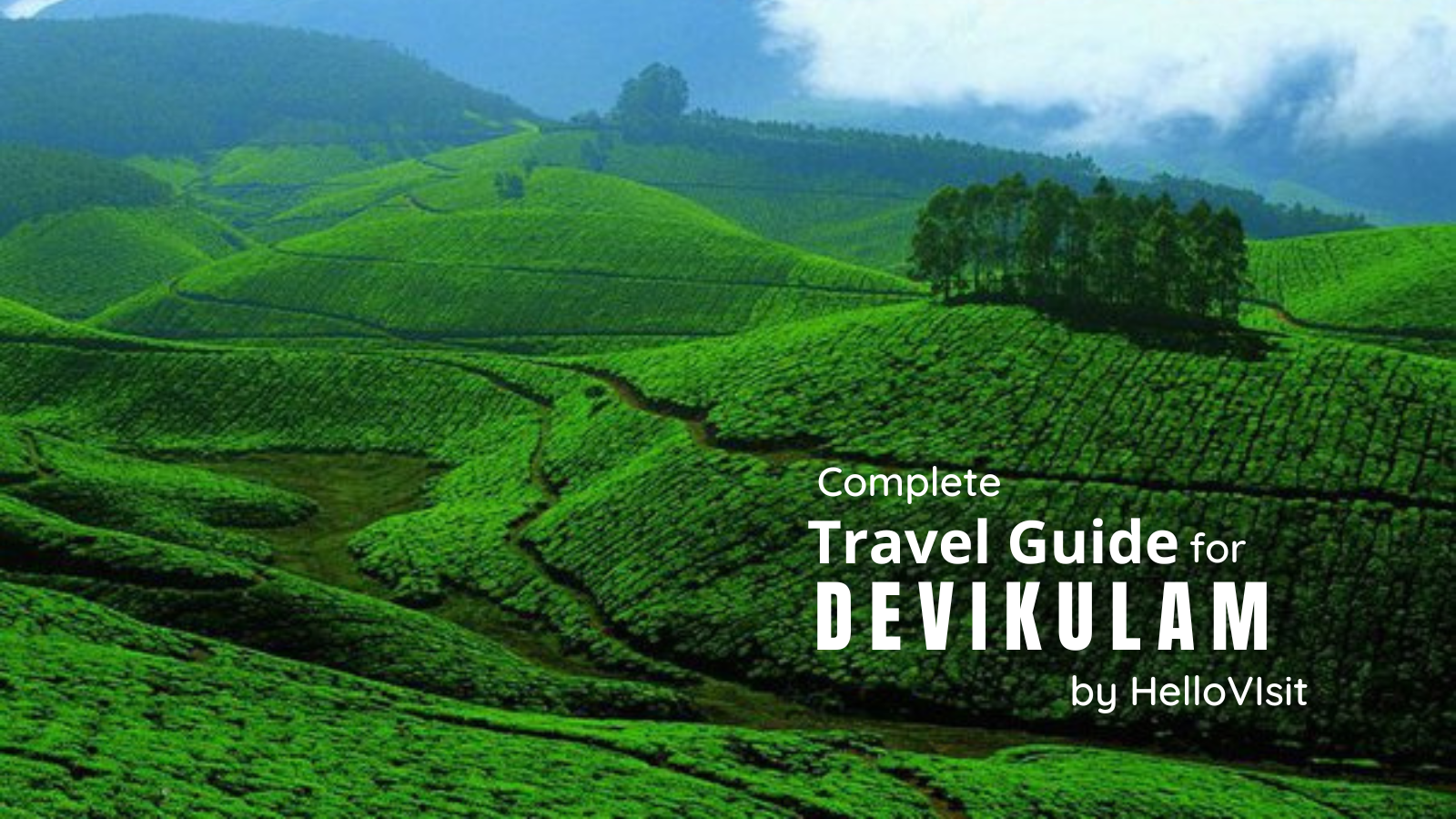 Devikulam-Kerala Tour and Travel Guide
