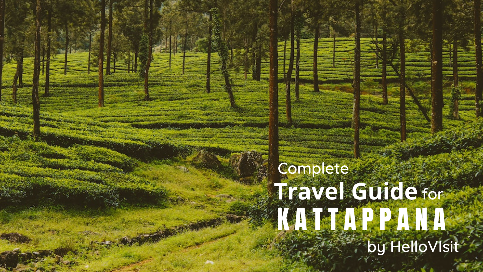 Kattappana-Kerala Tour and Travel Guide