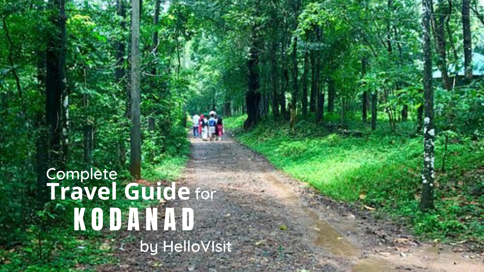 Kodanad-Kerala Tour and Travel Guide
