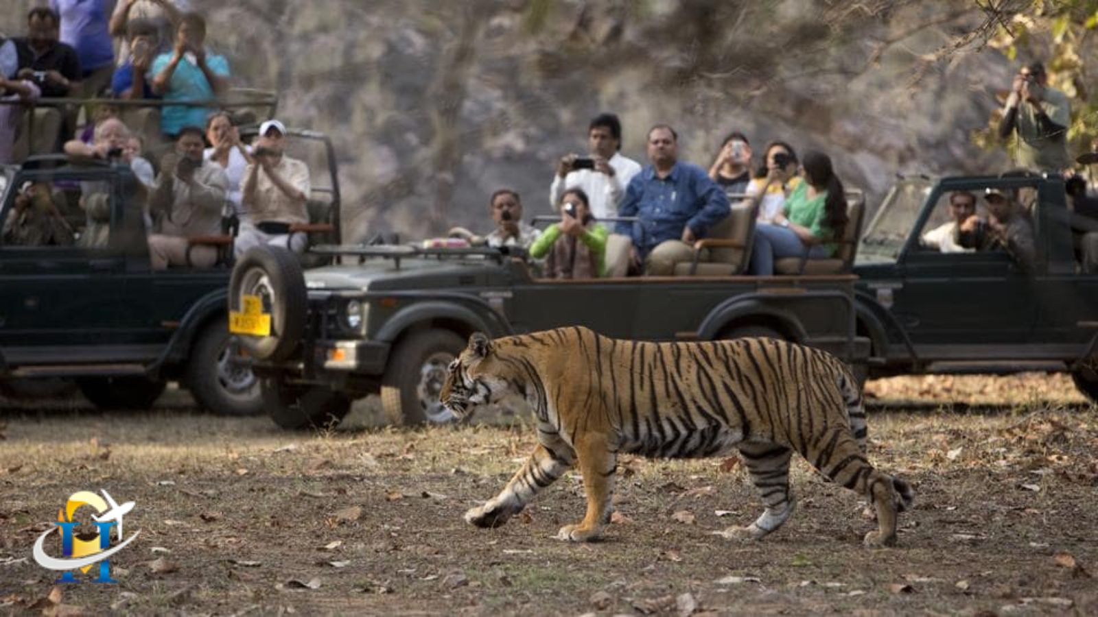 Reservations for online safaris in Ranthambore National Park are regulated by the Rajasthan government.