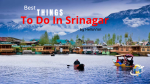 Best Things To Do In Srinagar