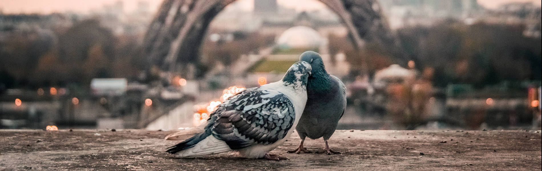 Honeymoon Package In Sikkim