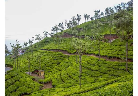 Best Selling Ooty tour Package