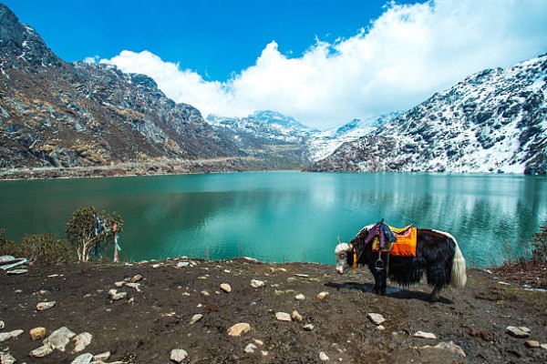 Exotic Sikkim Tour Package for a Mesmerizing Holiday