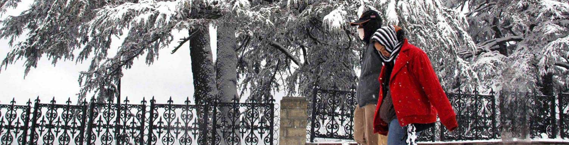 Himachal Honeymoon Packages