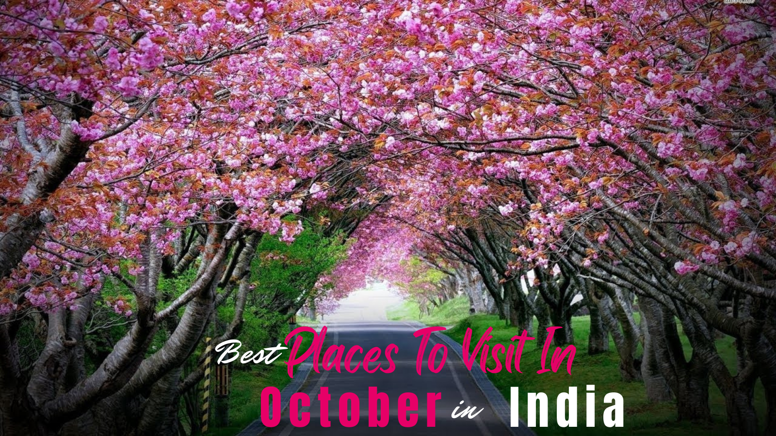 Top Places to Visit in October in India for Tour