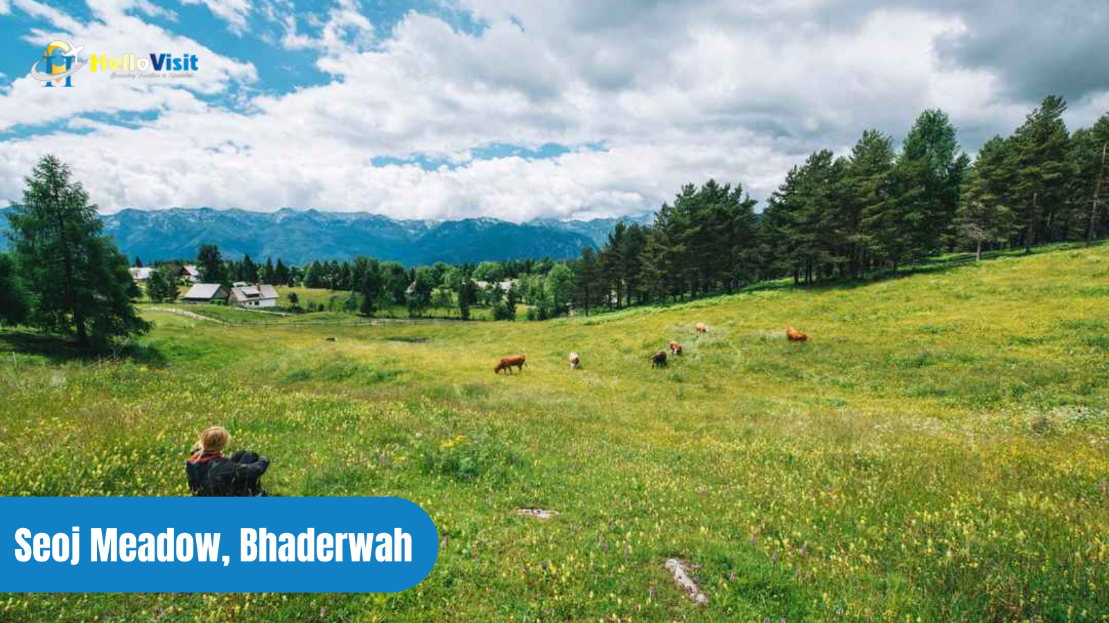 Seoj Meadow, Bhaderwah