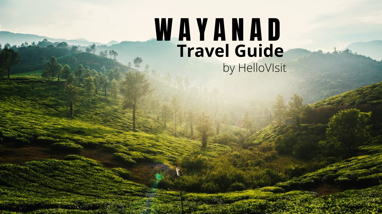 travel essay of wayanad in english