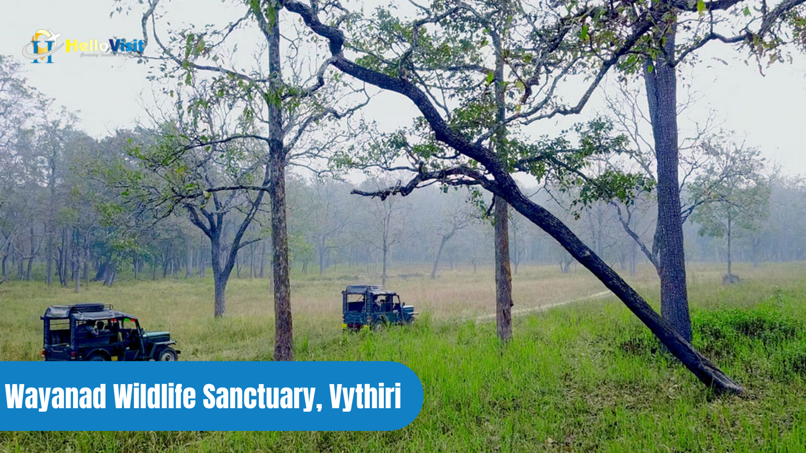 Wayanad Wildlife Sanctuary, Vythiri