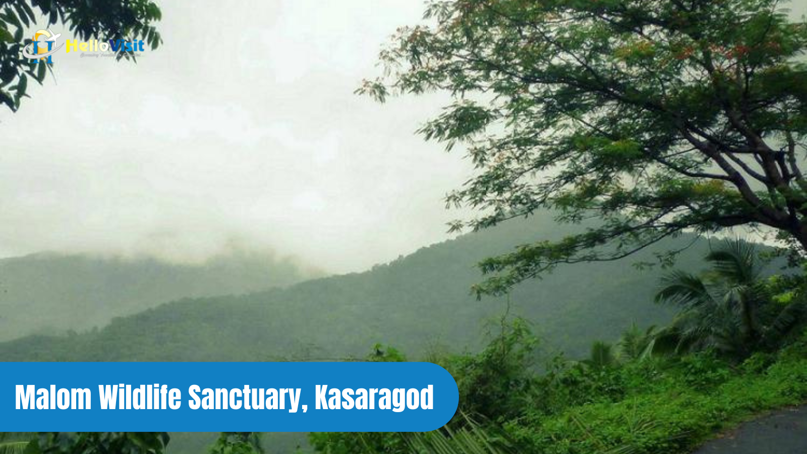 Malom Wildlife Sanctuary, Kasaragod