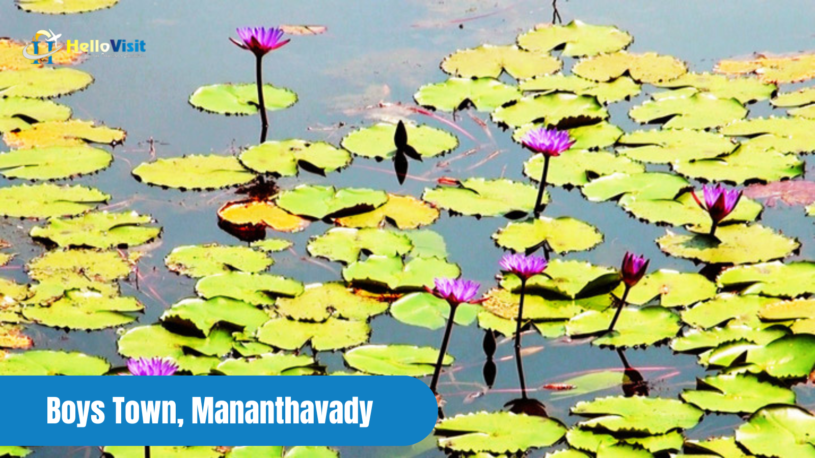 Boys Town, Mananthavady