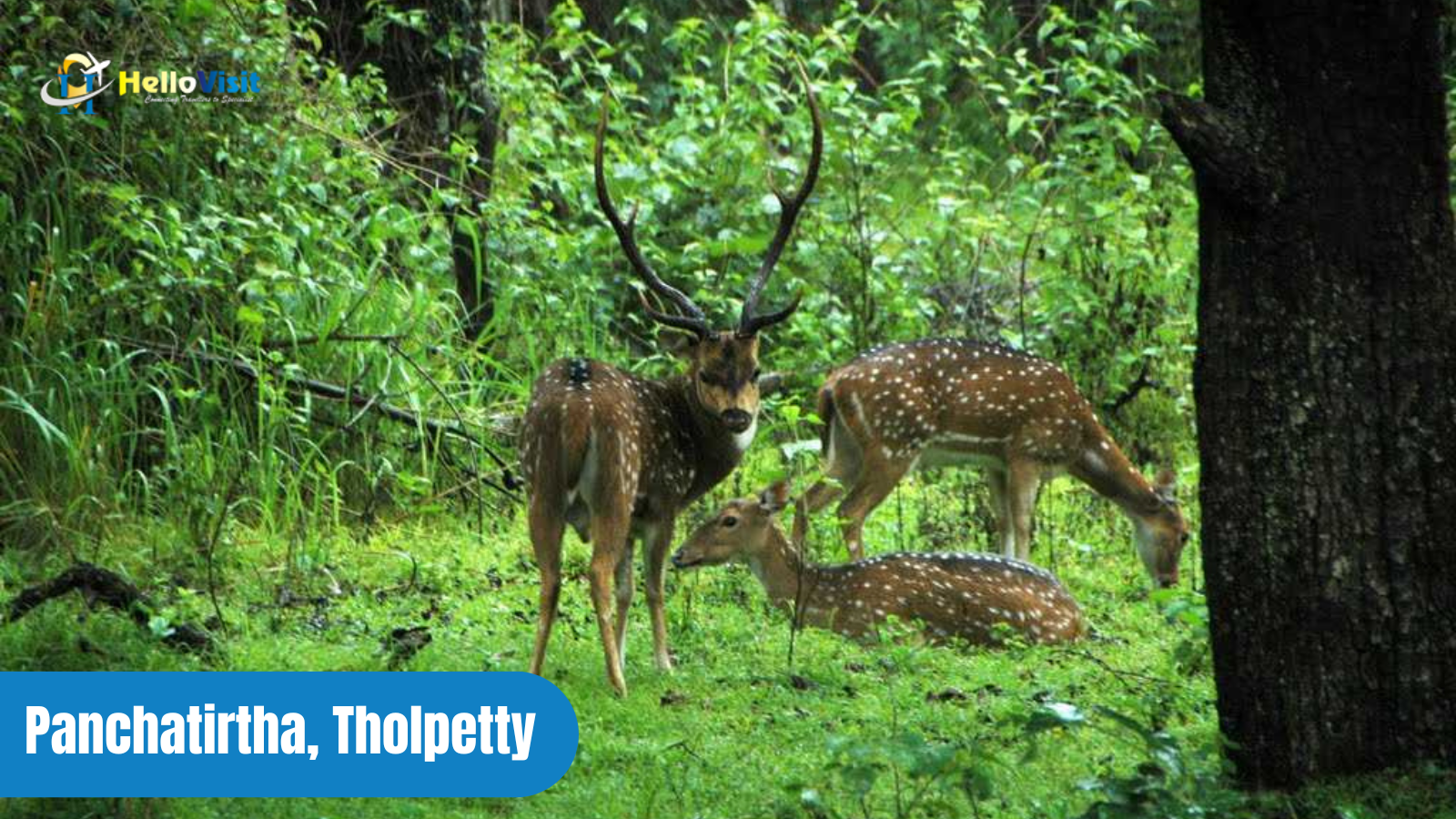 Panchatirtha, Tholpetty