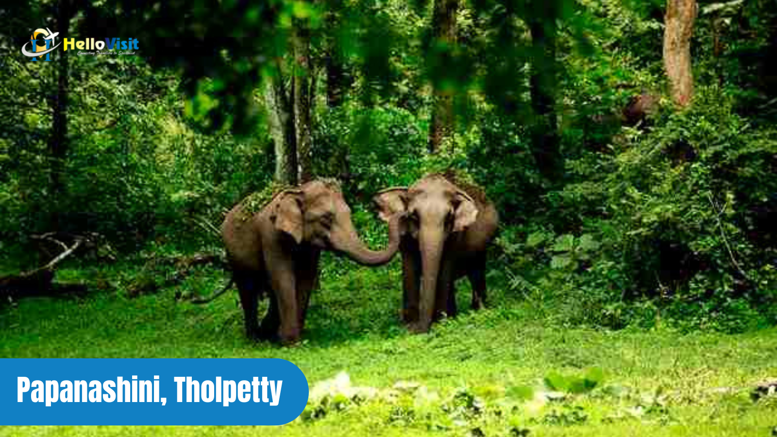 Papanashini, Tholpetty