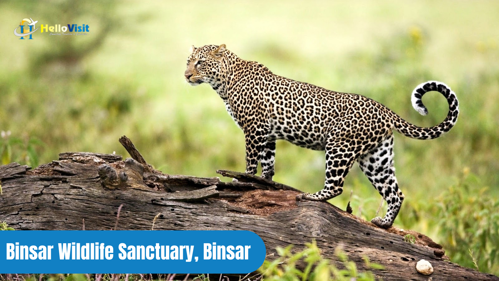 Binsar Wildlife Sanctuary, Binsar