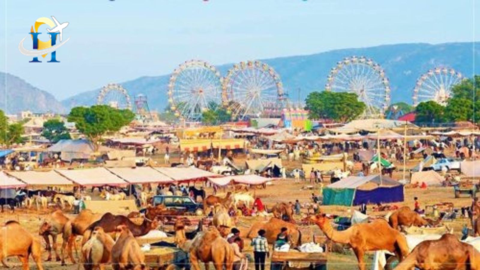 the annual Pushkar Fair is all ready to host Rajasthan