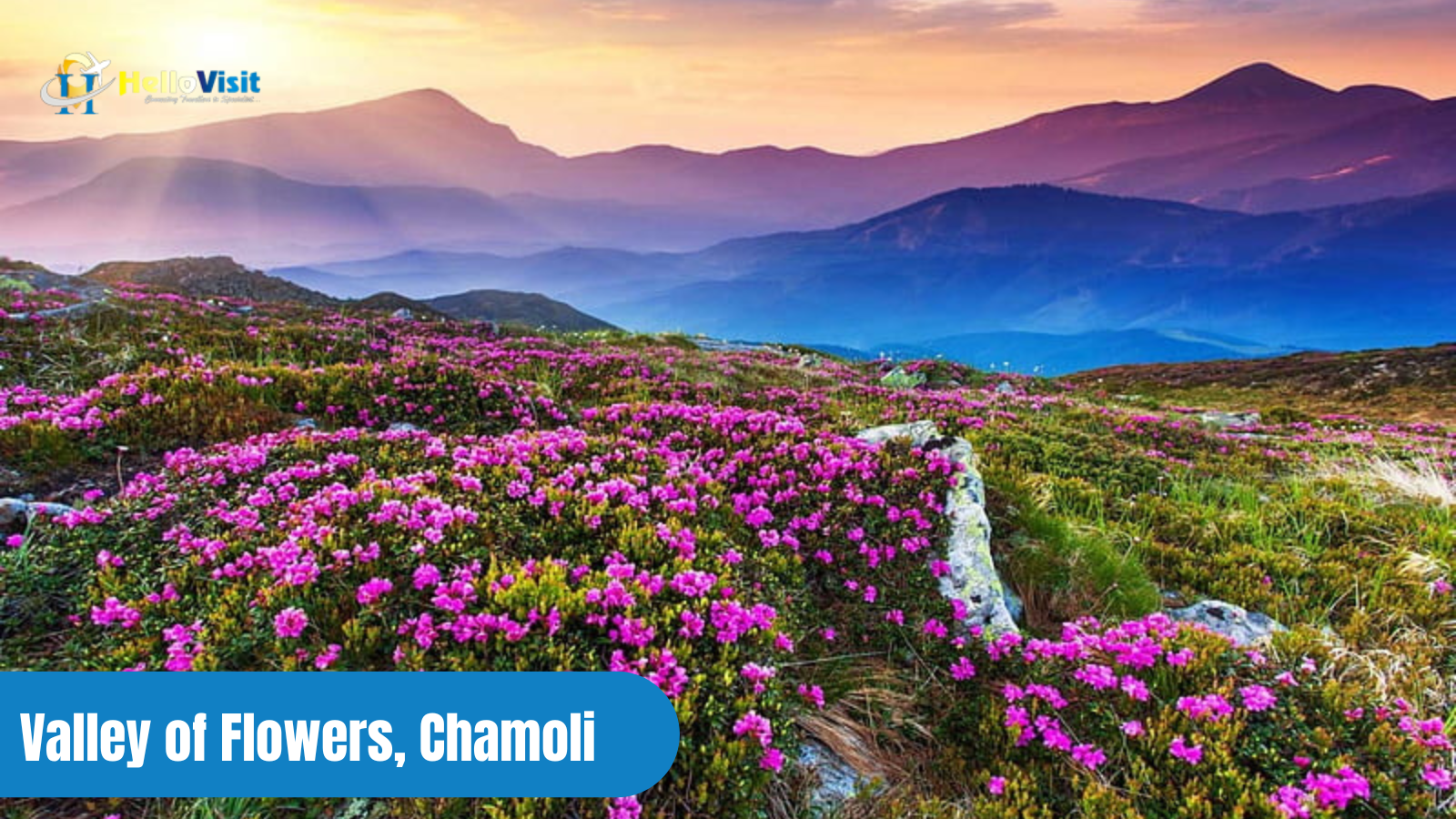 Valley of Flowers, Chamoli