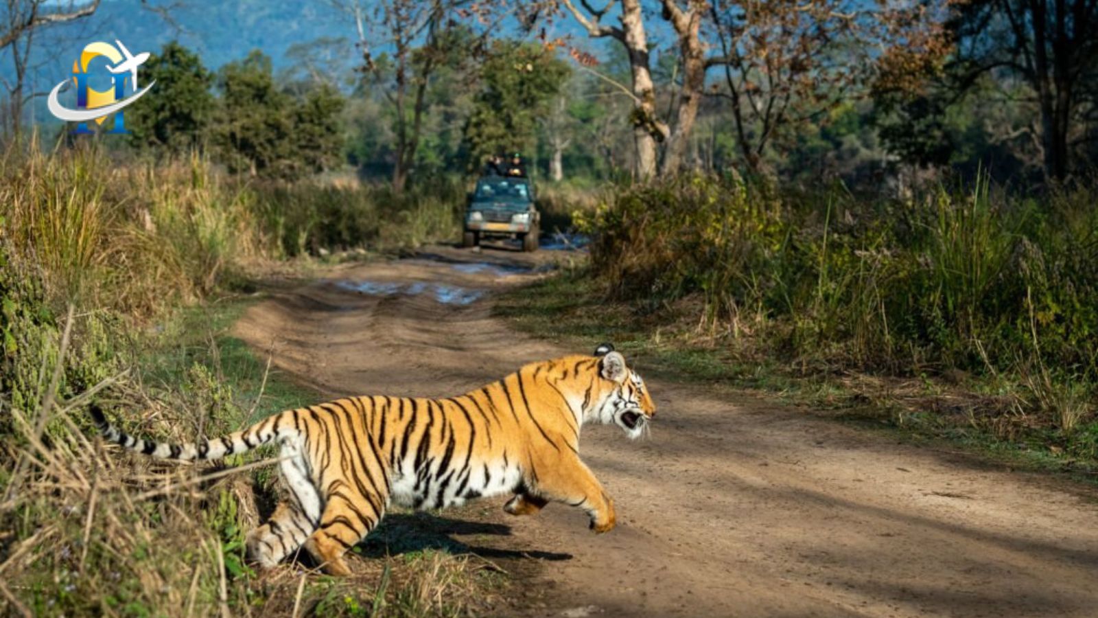 Uttar Pradesh’s Dudhwa Tiger Reserve nows the time