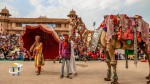 The annual Bikaner Camel Festival will be hosted in Bikaner; information are provided here.