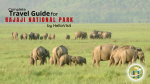 Read All Details About Rajaji National Park (Uttarakhand) with Travel Guide