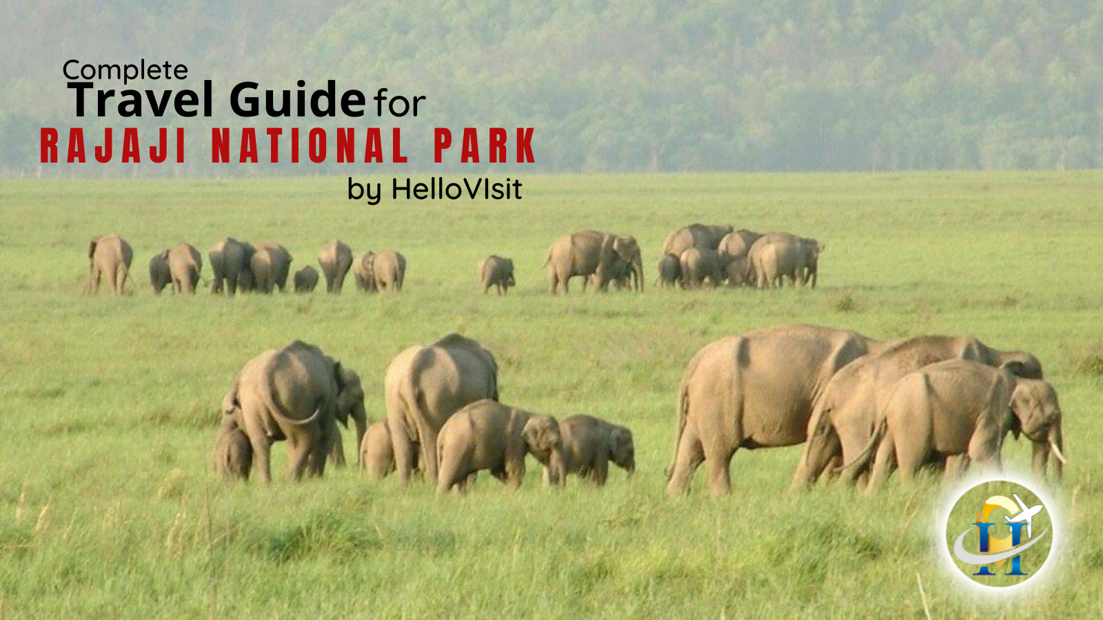 Read All Details About Rajaji National Park (Uttarakhand) with Travel Guide