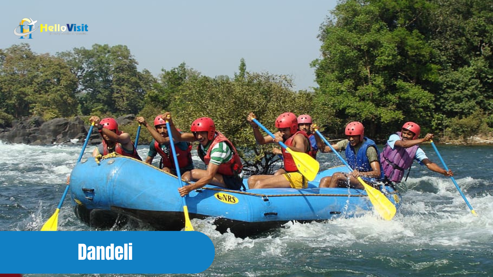 Dandeli