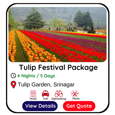 Tulip Garden, Srinagar