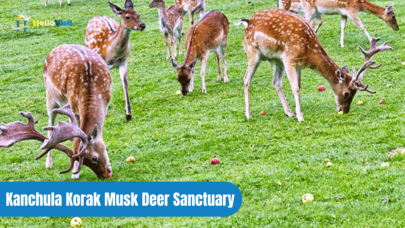 Kanchula Korak Musk Deer Sanctuary