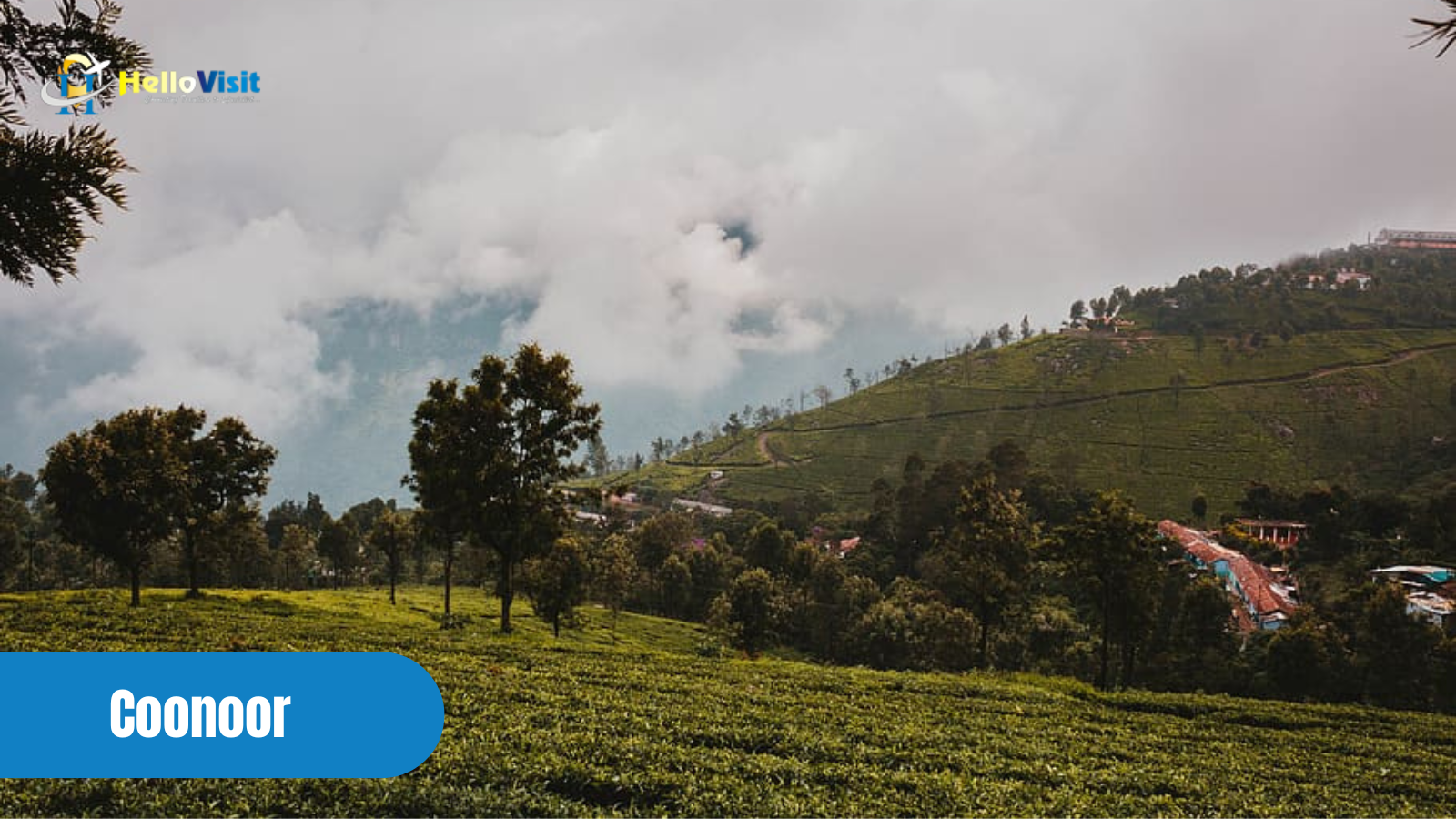 Honeymoon In Coonoor, Tamil Nadu