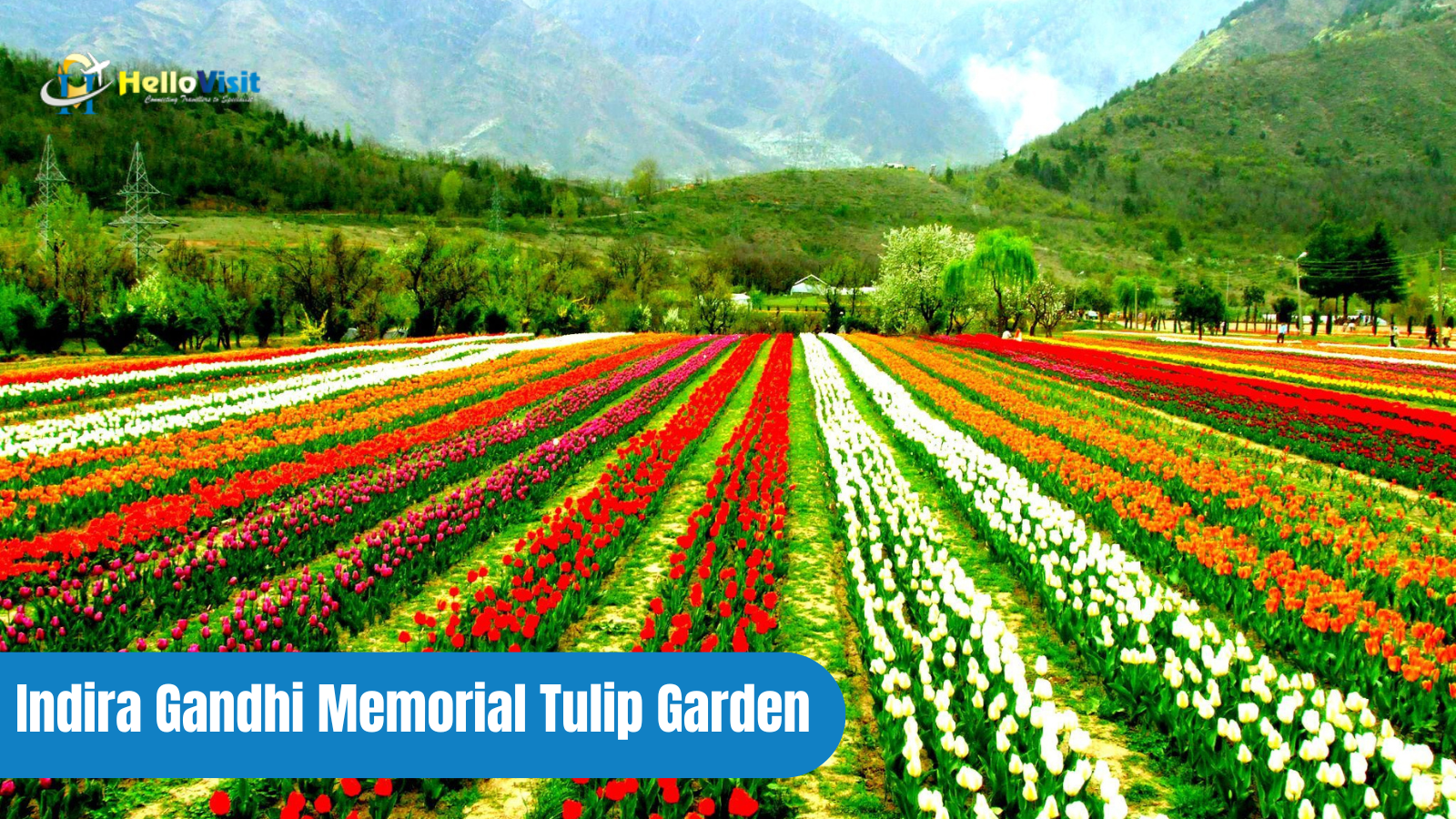 Indira Gandhi Memorial Tulip Garden