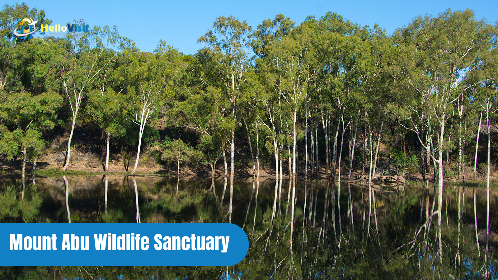 Mount Abu Wildlife Sanctuary