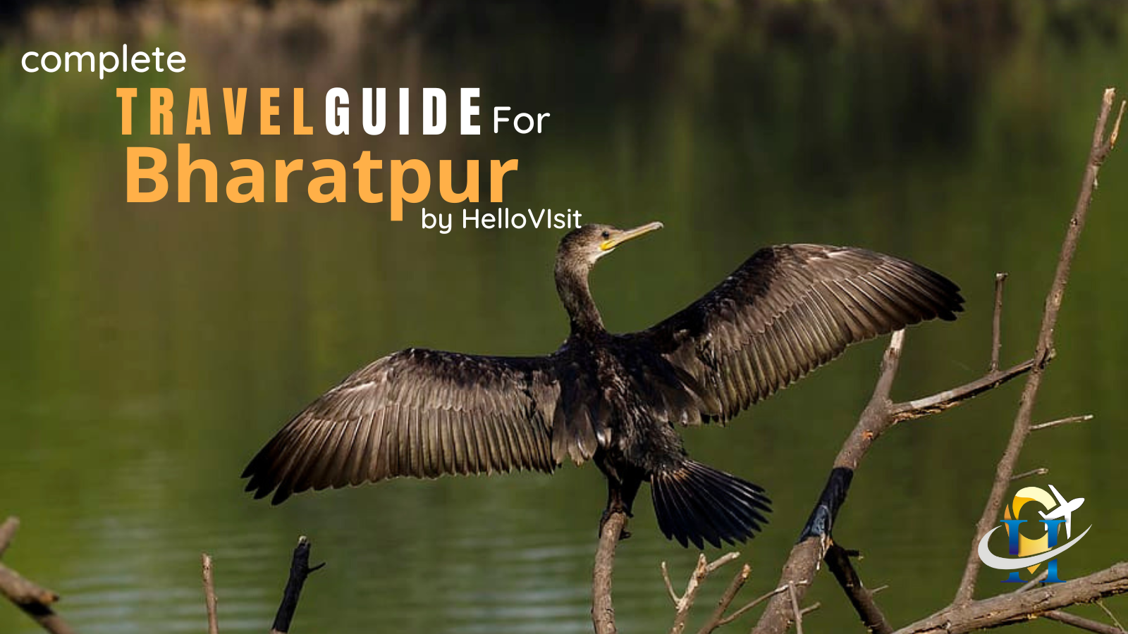 Bharatpur Tour and Travel Guide