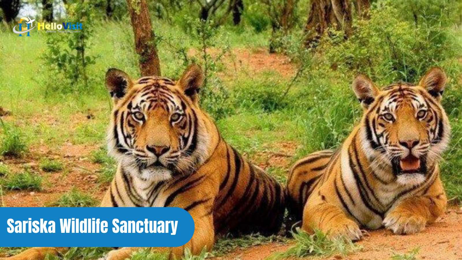 Sariska Wildlife Sanctuary