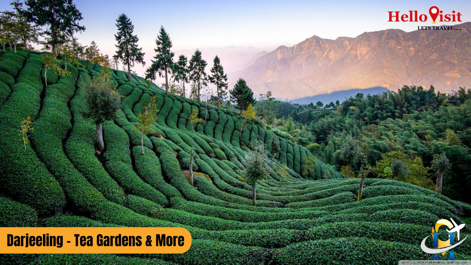 Darjeeling - Tea Gardens & More