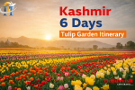 Kashmir 6 Days Itinerary for Tulip Garden Tour – Complete Travel Guide